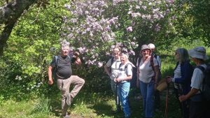 Lire la suite à propos de l’article Caylus 82