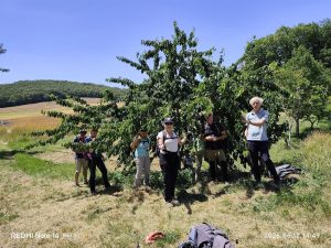 Lire la suite à propos de l’article Cassès 11