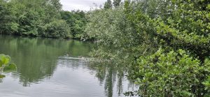 Lire la suite à propos de l’article Lac Lamartine et lac du Bois Vieux