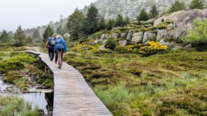 Lire la suite à propos de l’article Etangs et refuge de Bassies