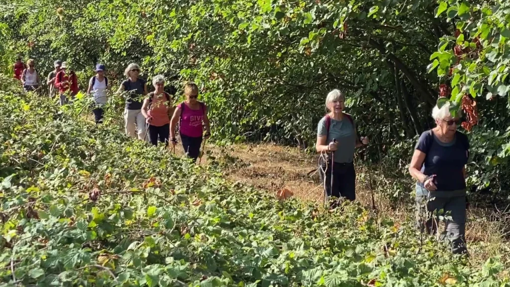 Le groupe sur le circuit de Pech-David au milieu de la verdure
