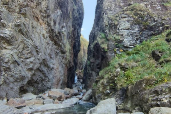 Mass Image Compressor Compressed this image. https://sourceforge.net/projects/icompress/ with Quality:80