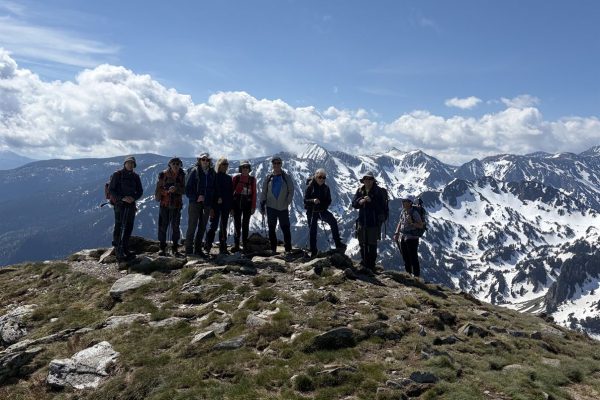 Mass Image Compressor Compressed this image. https://sourceforge.net/projects/icompress/ with Quality:80