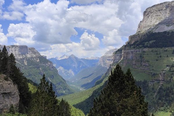 Mass Image Compressor Compressed this image. https://sourceforge.net/projects/icompress/ with Quality:80